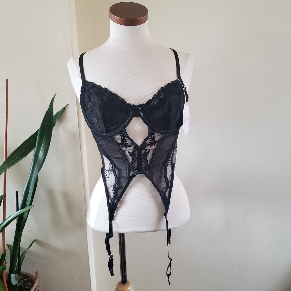 RSLOVE BNWT Lacey Embroidered Bustier & Matching Thong Panty Set - M